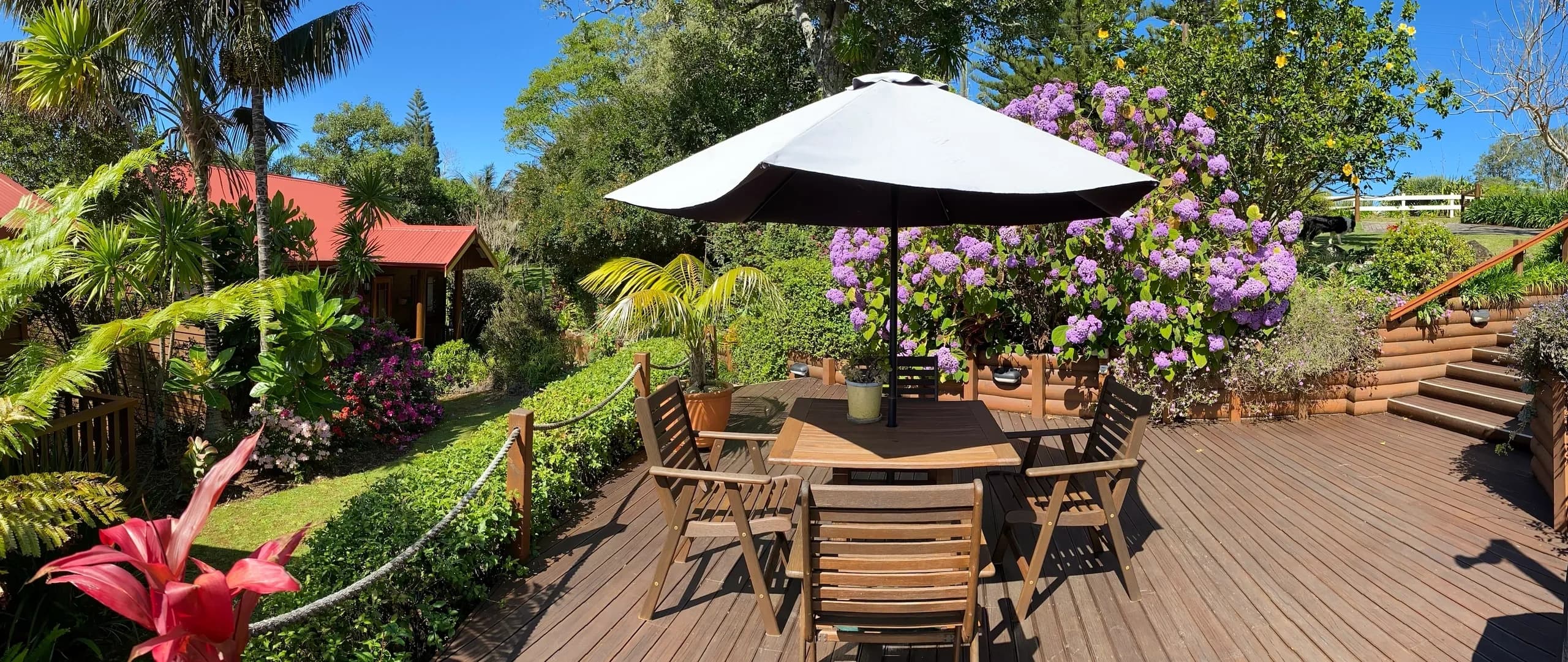 Main deck at Jacaranda Park